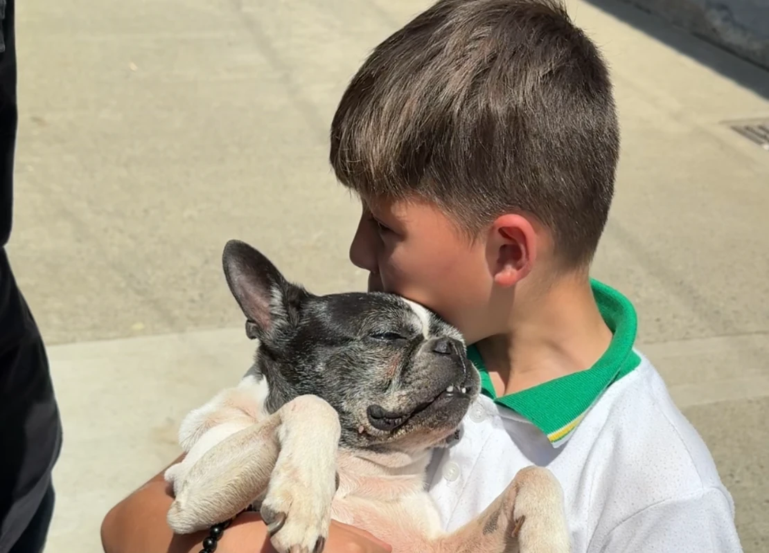 A Cerritos llegó la oferta integral del Hospital Público Veterinario