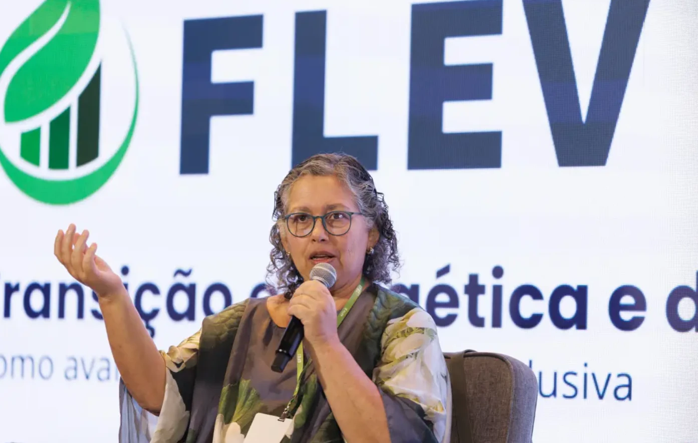 ONG y empresas esperan que Brasil redoble la apuesta por la descarbonización en la COP30