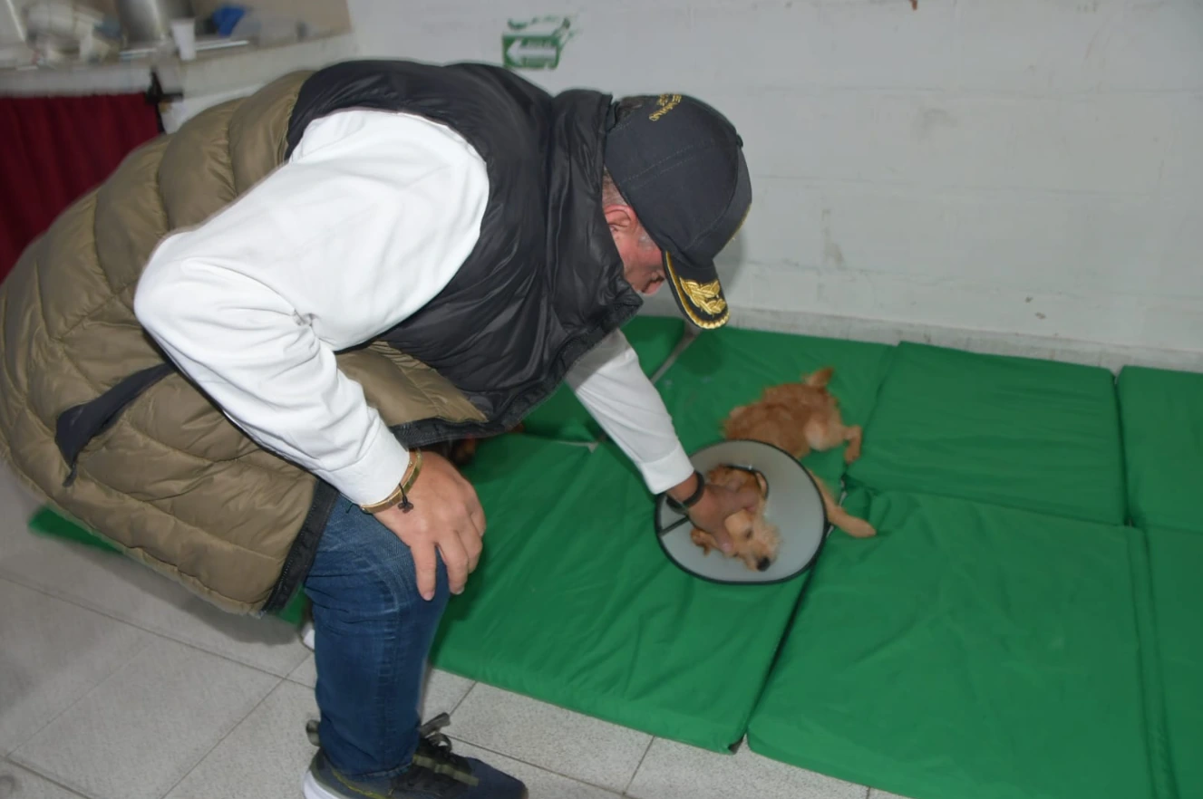 Alcalde Roberto Jiménez ha transformado la vida de más de 1.800 peluditos en Dosquebradas