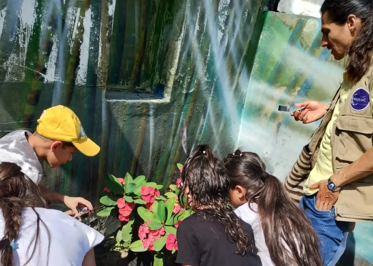 La CARDER impulsa la educación ambiental en Pereira a través del proyecto de protección de polinizadores