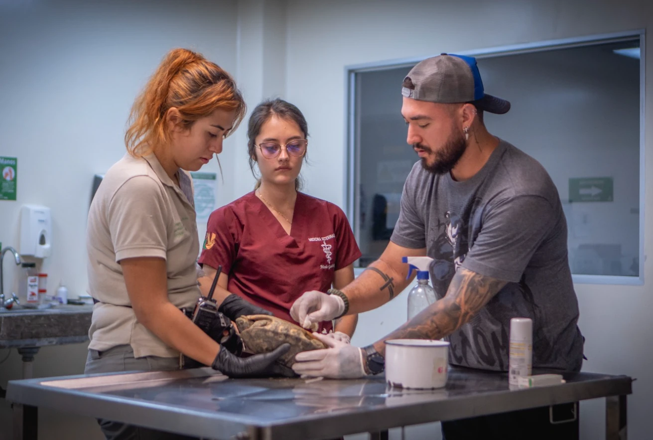 Pereira será sede del Segundo Congreso Internacional de Cuidadores de Fauna Silvestre