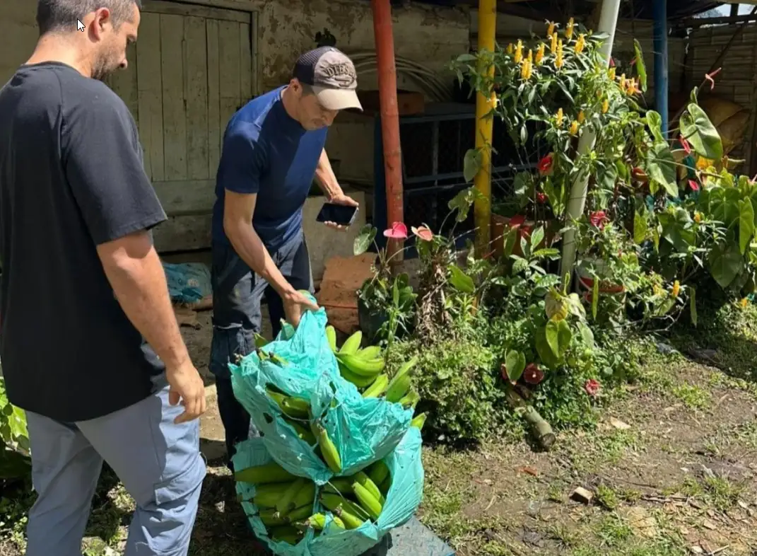 Productores de Dosquebradas se convierten en empresarios del campo gracias a alianza con Patacroonch