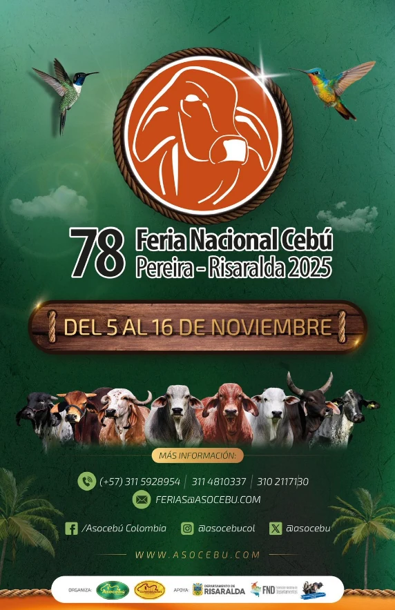 Risaralda se viste de ganadería: inició el evento ganadero más importante del país