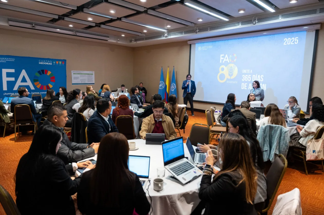 Colombia y FAO afinan el nuevo Marco Programa País 2025–2027 para impulsar la seguridad alimentaria y el desarrollo sostenible
