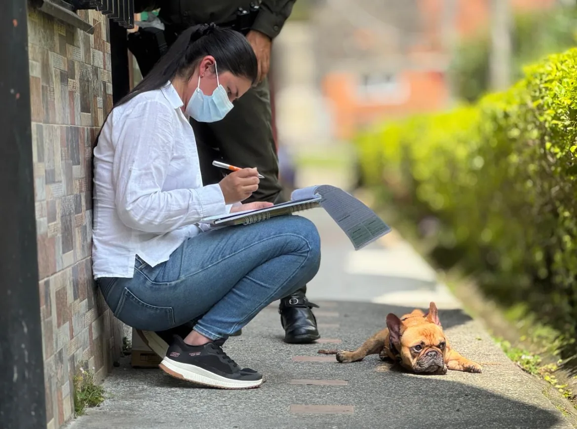 Alcaldía de Dosquebradas protege a cinco animales tras denuncia de presunto maltrato en Bosques de Milán