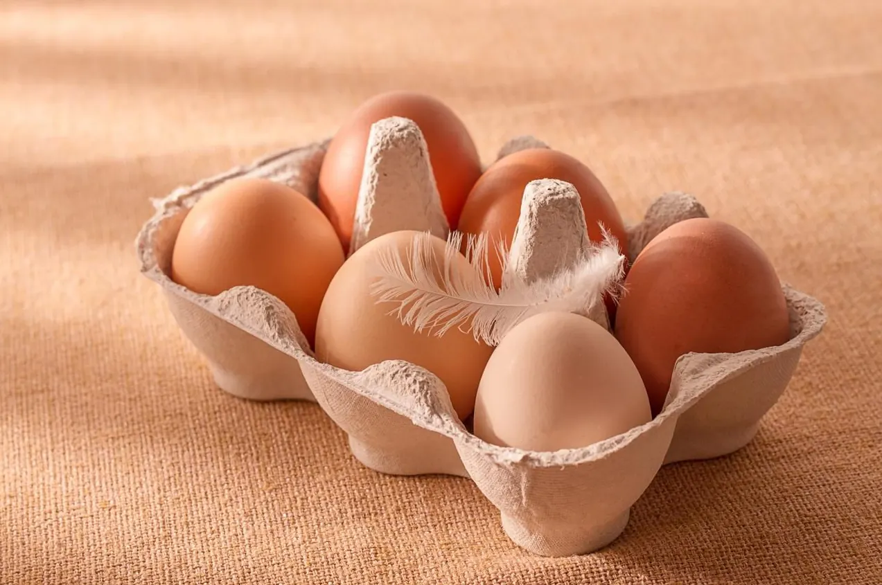 Ministra Diana Morales anuncia apertura de nuevas oportunidades de exportación en Estados Unidos