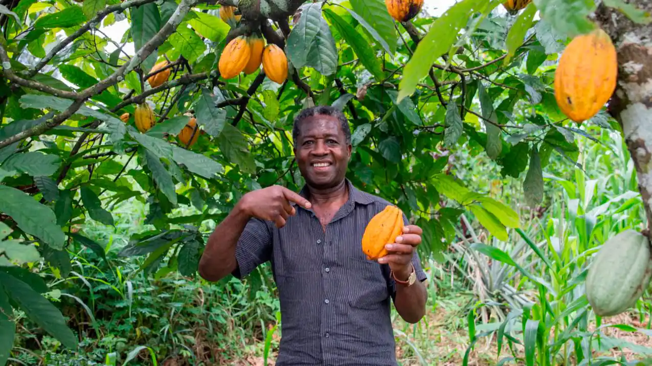 Finagro inyectó $48,1 billones en crédito de fomento al campo colombiano durante 2025