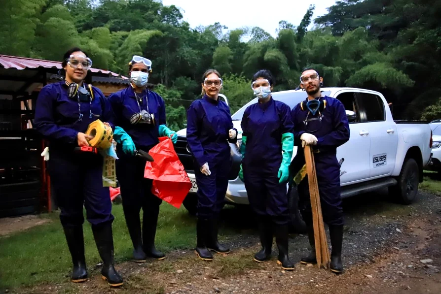 CARDER y Masbosques retiran 30 kilos de caracol gigante africano en la bocatoma de La Virginia