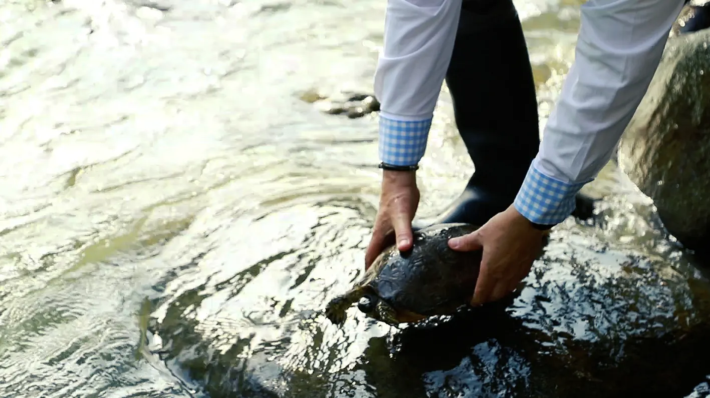 La CARDER realizó 734 liberaciones de fauna en la vigencia 2025