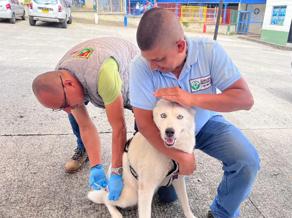 Vacunar es proteger vidas: exitosa jornada antirrábica en Aguas Claras, comuna Consota