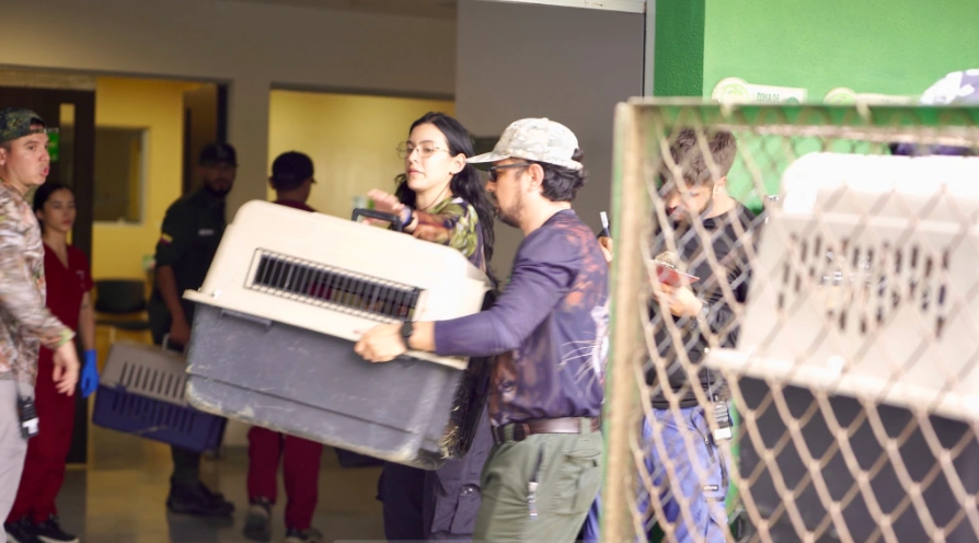 CARDER y el Bioparque Ukumarí fortalecen la protección de la fauna silvestre a través del ‘Arca de Noé’