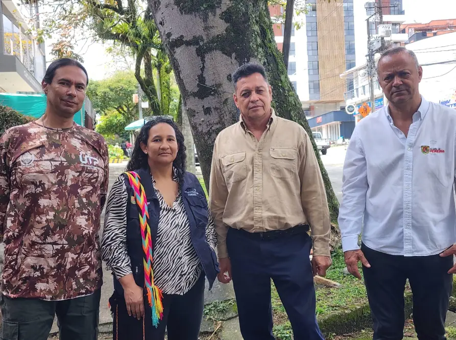 Por riesgo de caída y para salvaguardar la vida de las personas, la Alcaldía de Pereira realizará la tala controlada de un árbol en Los Álamos