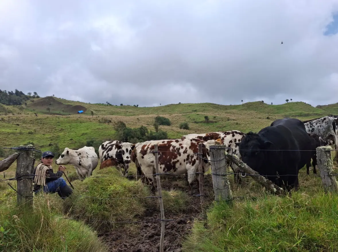 La Alcaldía de Pereira ha invertido $5.350 millones, en 2024 y 2025, en la compra de predios para proteger los humedales y el agua de la ciudad