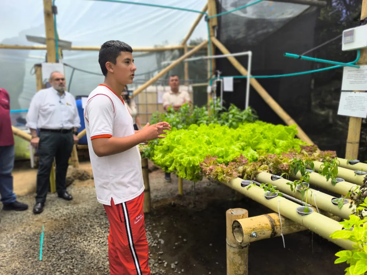 Sistema acuapónico en la Institución Educativa de Combia impulsa la sostenibilidad y el aprendizaje ambiental