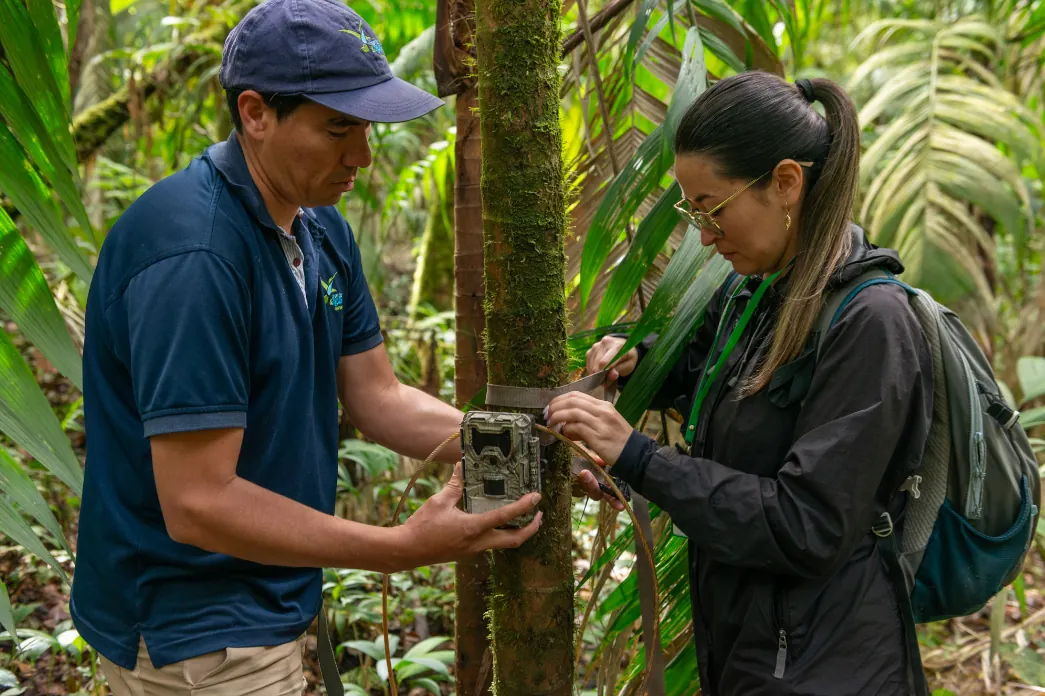 Investigación de la CARDER sobre la danta de montaña es publicada en una revista científica internacional