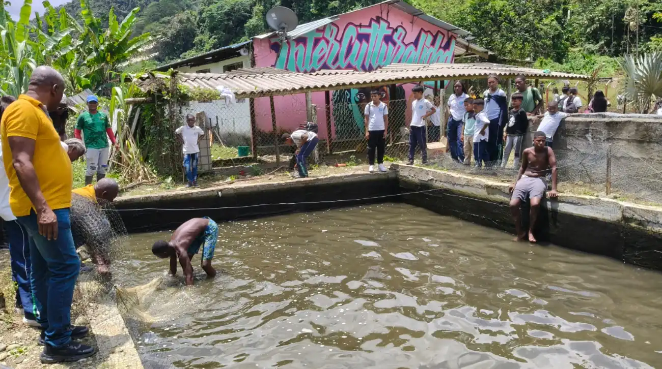 Proyecto Pedagógico Productivo de piscicultura beneficia a 300 estudiantes en Pueblo Rico y fortalece la seguridad alimentaria