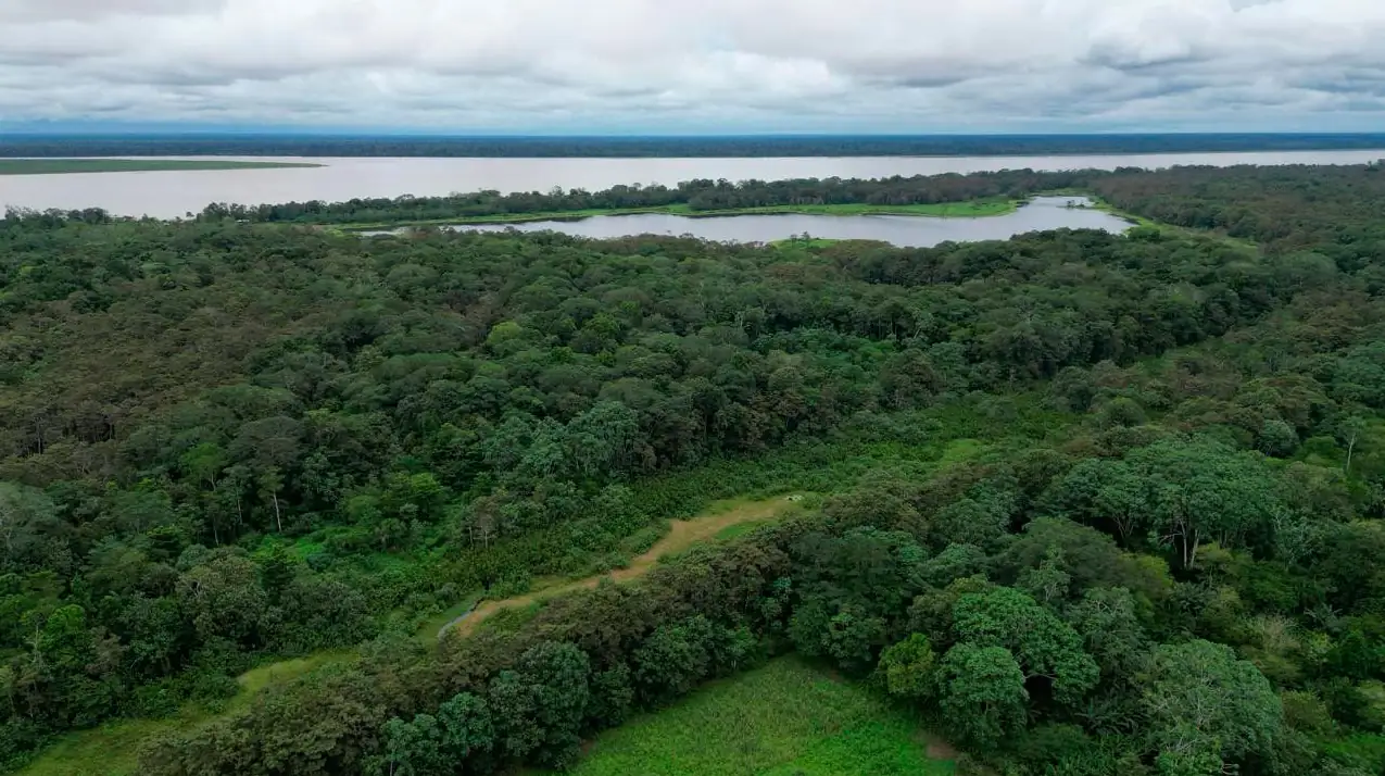 En 25 % disminuyó deforestación en parques nacionales amazónicos durante 2025
