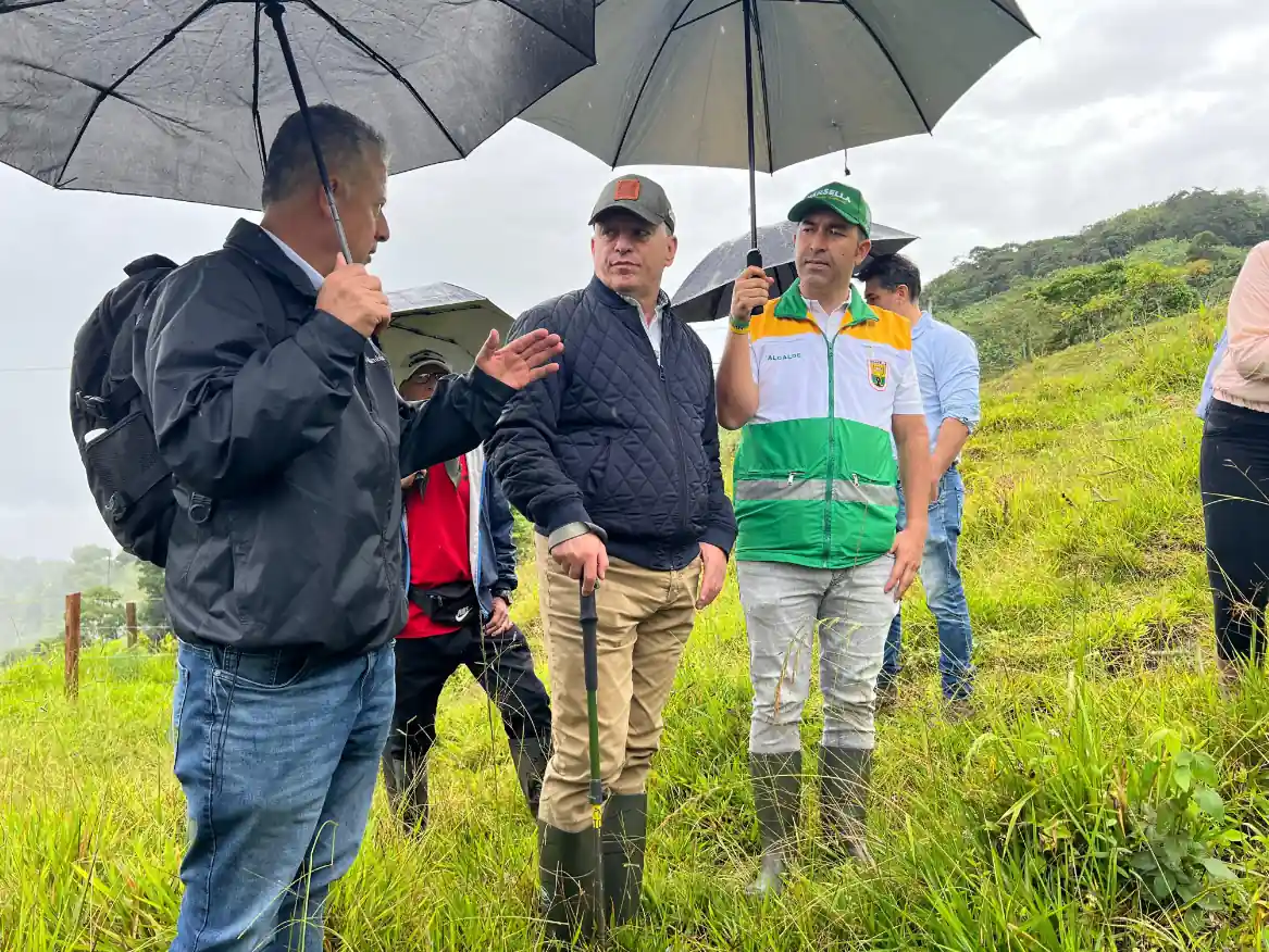 Obra de bioingeniería en Marsella garantiza estabilidad del suelo y protege el abastecimiento de agua
