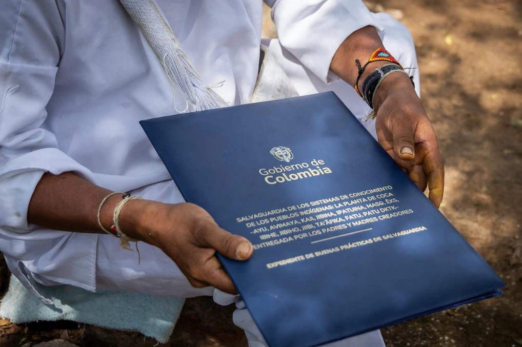 Colombia postula ante la UNESCO los saberes ancestrales sobre la planta de coca como patrimonio cultural inmaterial