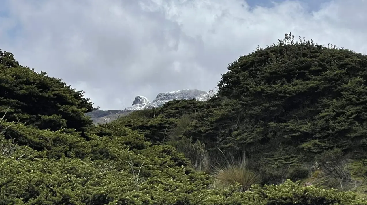 Gestión ambiental con resultados: protección del agua, conservación y sostenibilidad marcan el avance en Pereira
