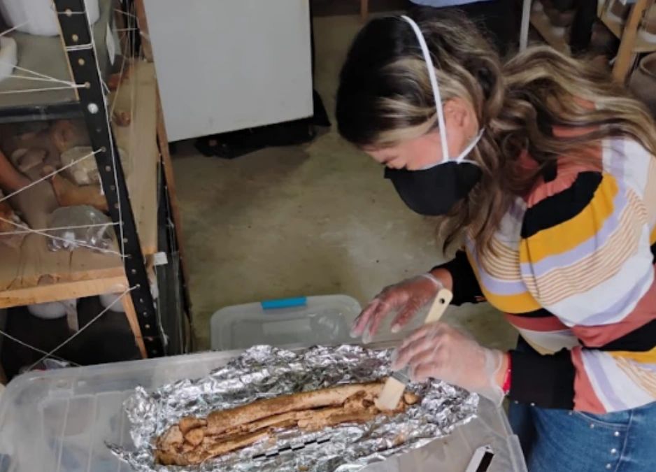 Nuevos hallazgos arqueológicos fueron encontrados en las obras del hospital regional