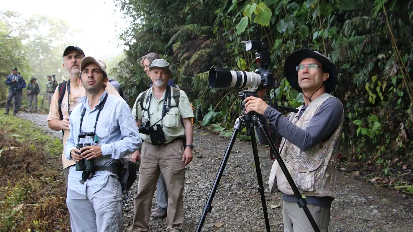 Risaralda reafirma su liderazgo como territorio de aves durante el Global Big Day 2026