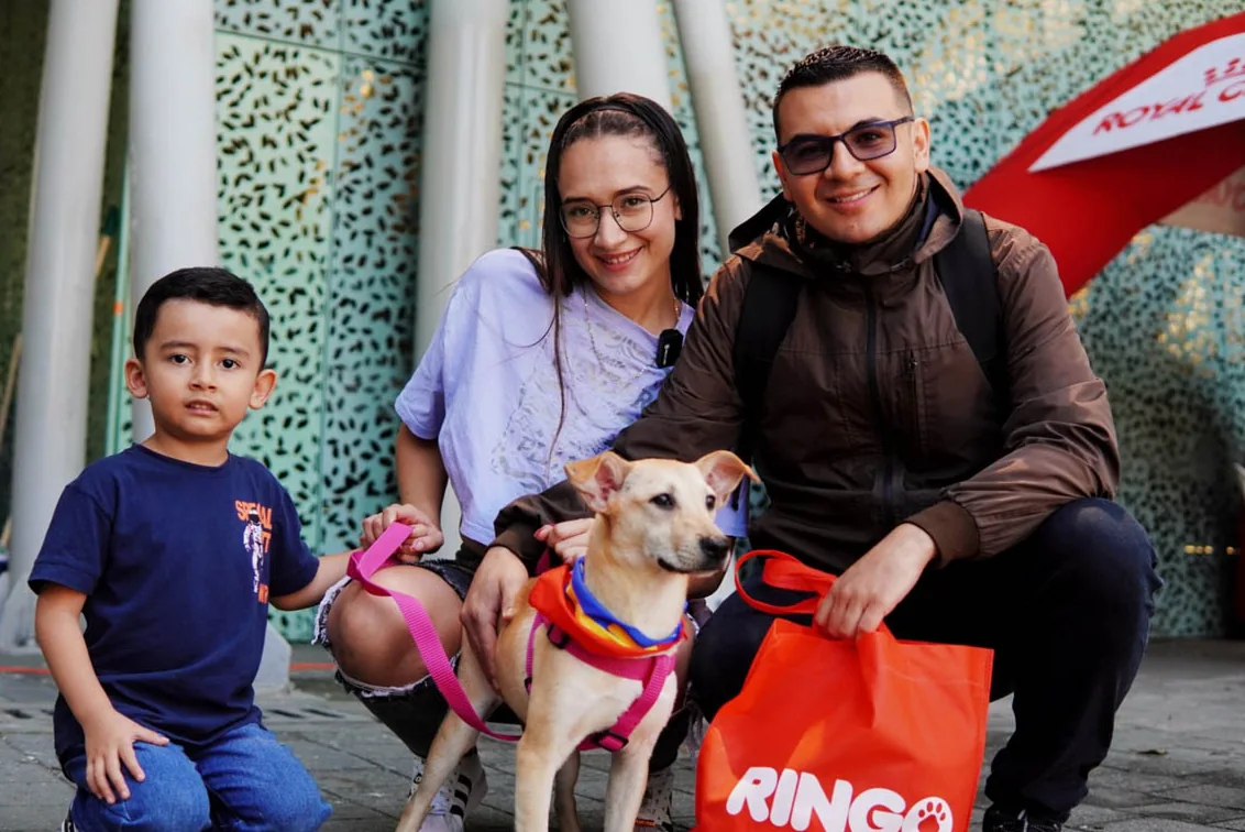 160 perros y gatos de Medellín encontraron un hogar durante la campaña mundialista de adopción