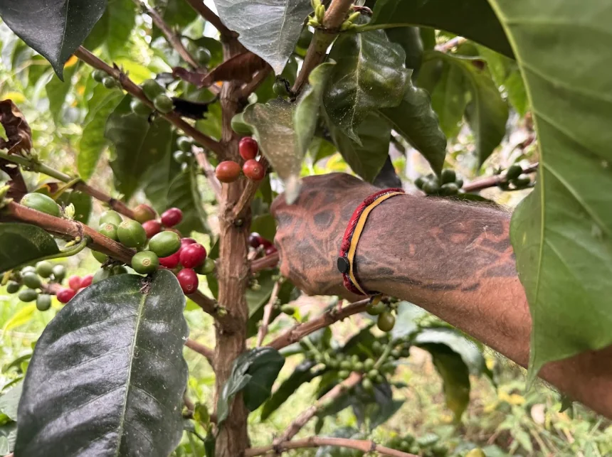 Risaralda es ejemplo nacional en la implementación de la Política Pública de Víctimas del Conflicto Armado